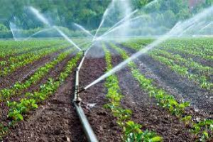 Irrigation and Operational Maintenance Training