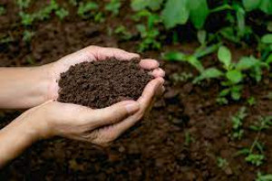 Integrated Soil Health and Fertility Management (ISHFN) for Sustainable Food and Nutrition Security Course