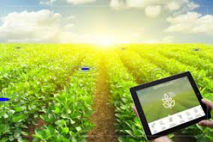 Data Management, Analysis and Visualization for Agriculture, and Rural Development Course