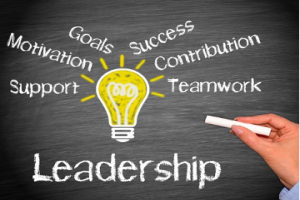 HSE Leadership for professionals