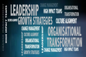 Banking: Leadership, Transformation & Strategies for Growth