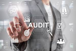 VALUE FOR MONEY AUDIT: PROJECT AUDITS