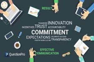 PROJECT TEAM LEADERSHIP: BUILDING COMMITMENT THROUGH SUPERIOR COMMUNICATION