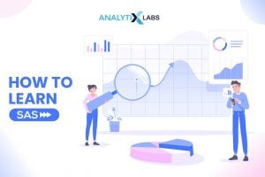 BUSINESS ANALYSIS AND PROJECT MANAGEMENT COURSE
