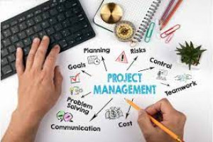 Basic Project Management Course