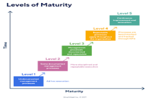 ORGANIZATIONAL PROJECT MANAGEMENT MATURITY MODEL