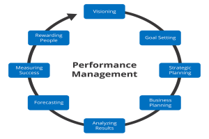 PERFORMANCE MANAGEMENT PROJECTS FOR HR