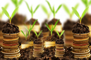 Value for Money Audit: Project Audits