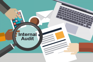 Modern International Standards of Internal Audit Function